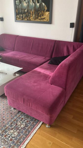 Beautiful apartment for you